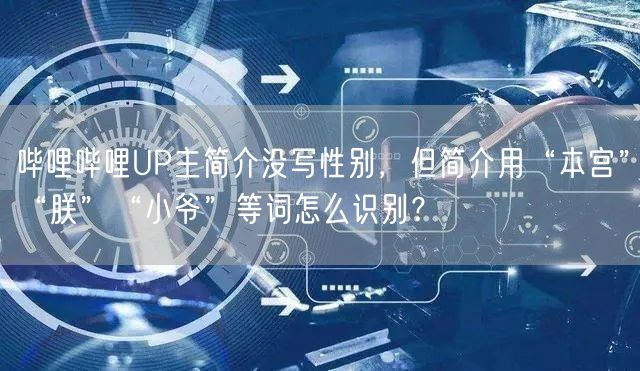 哔哩哔哩UP主简介没写性别，但简介用“本宫”“朕”“小爷”等词怎么识别？